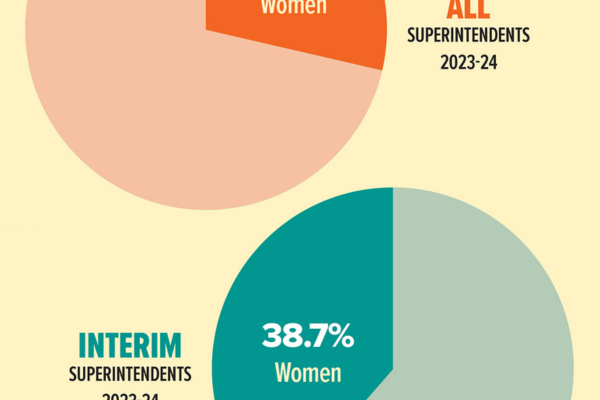 thumbnail of pie charts showing gender breakdown of interim leaders