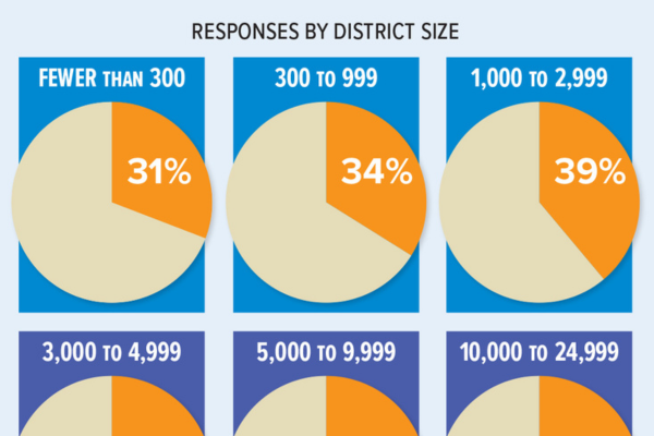 pie charts showing responses by district size